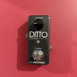 Ditto looper