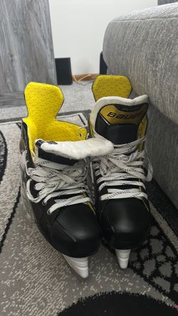 Bauer
