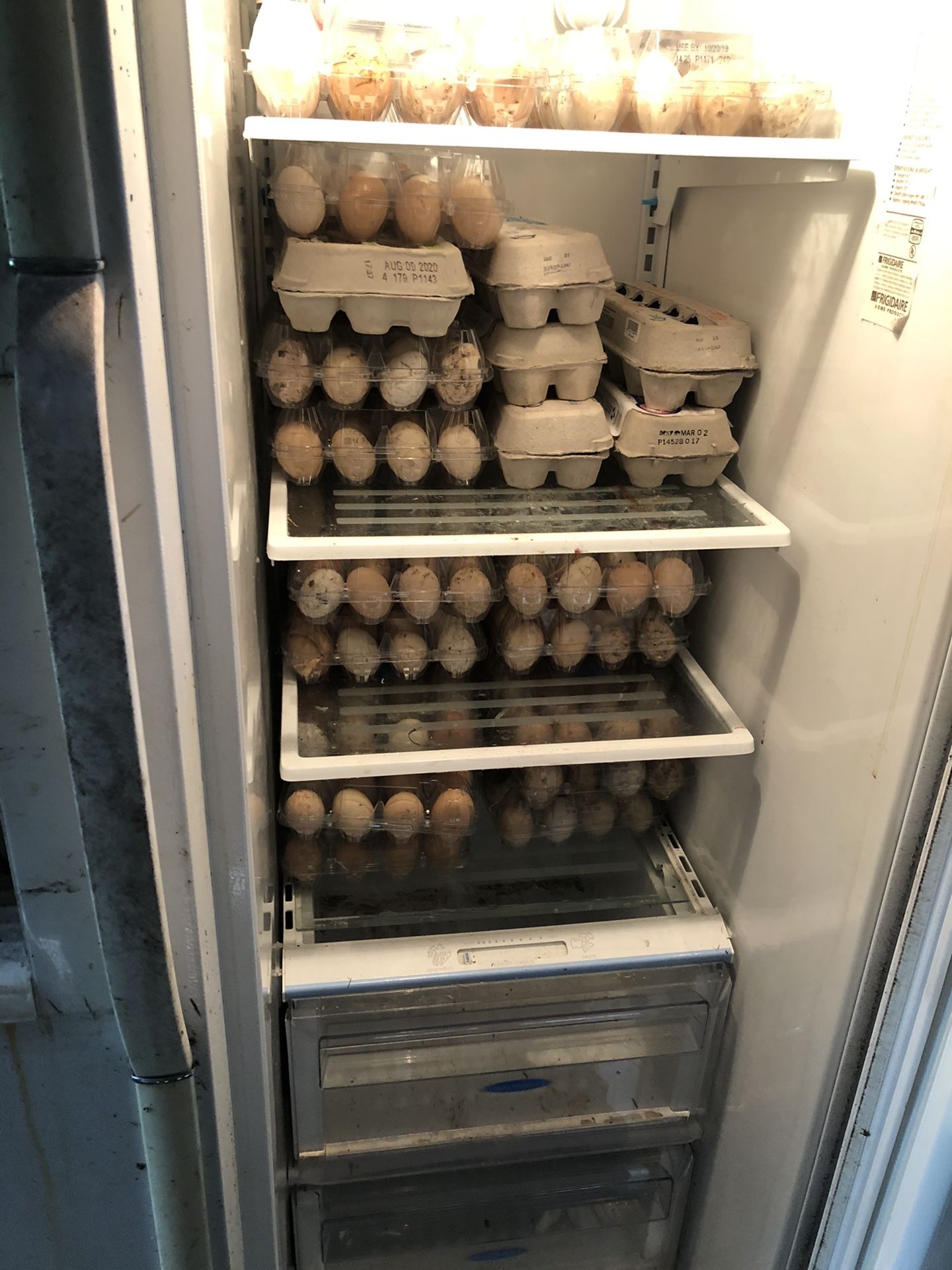 Eggs Fresh Daily 4$