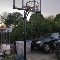 Basketball Hoop