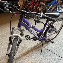 Roadmaster Girls 24 Inch Bike