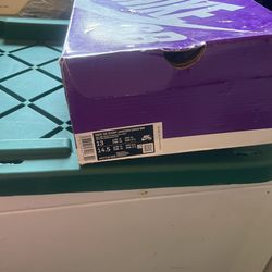 Nike SB Zoom