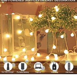 Party Decoration Lights (Warm White)