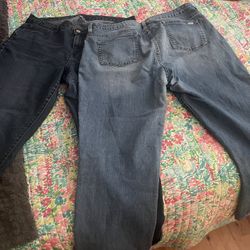 Jennifer Lopez Cropped Pants 