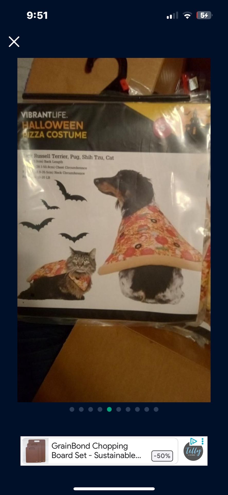 Pet Halloween Costumes