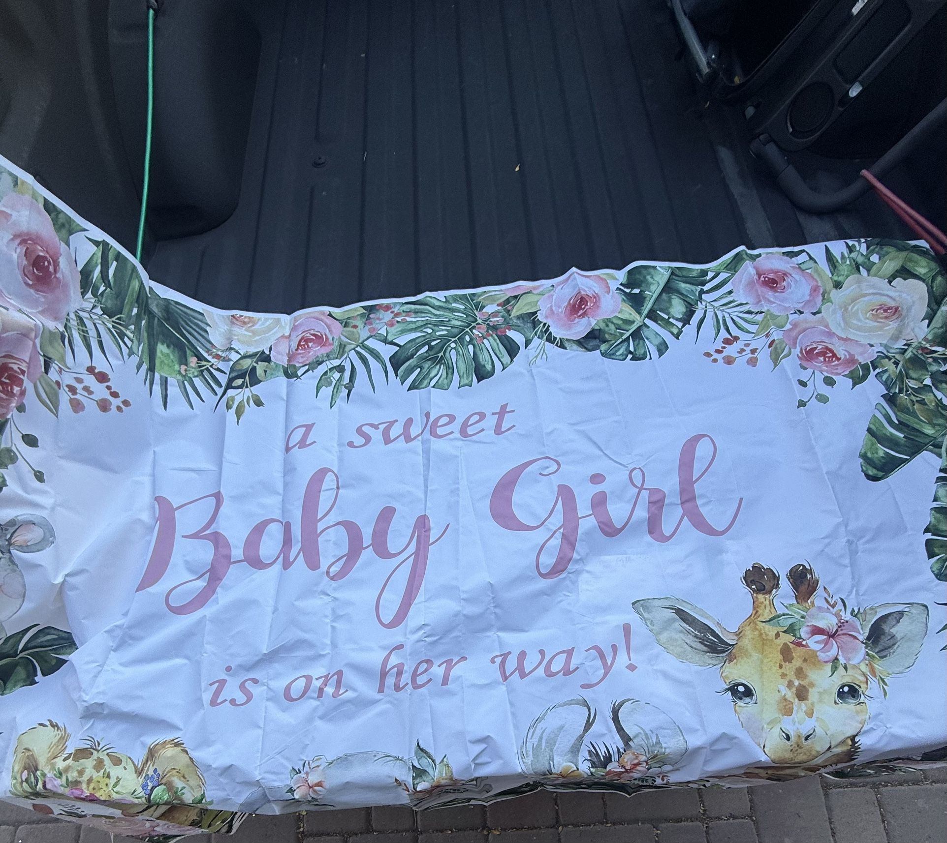 Baby Shower Decorations