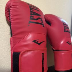 Everlast Boxing Gloves 16oz 