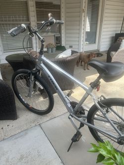 Trex Bike