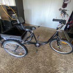 Tricycle Bike 