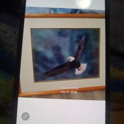 eagle wall picture matted