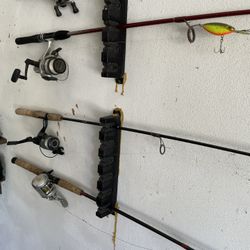 Casting Reels and Spinning Reels