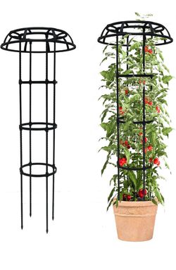 Mushroom Trellis (2pk)
