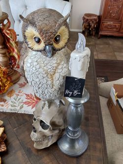 Battery Operated Owl decor