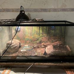 Reptile Tank 40 Gallon 