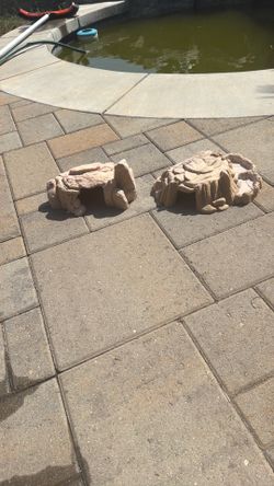 Reptile Hides