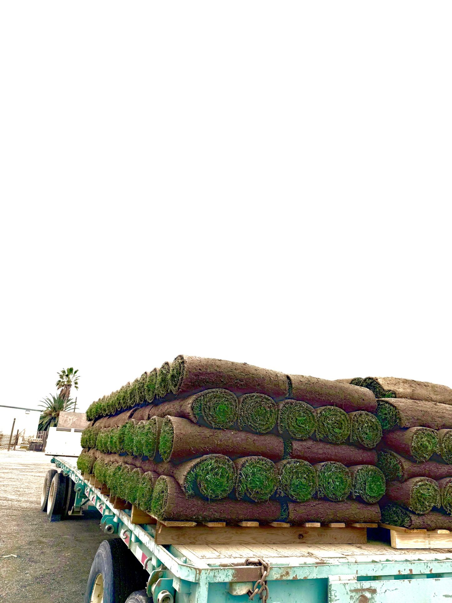 Sod- Grass - For Sale