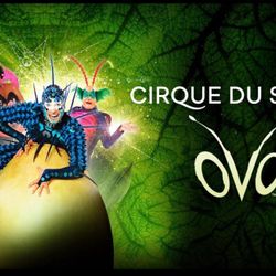 Cirque Du Soleil Tickets For Sale Sunday August 17 At 1 Pm. 4 Adults, One Child.