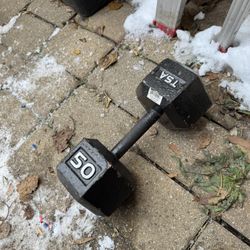 TSA 50lb Dumbbell