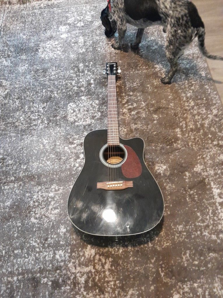 Electric Acustic Guitar
