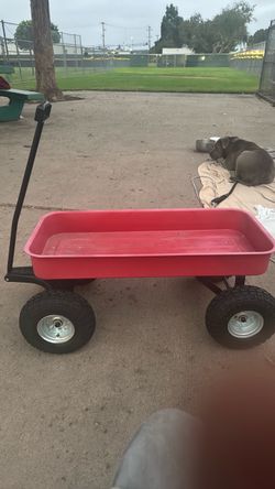 Radio Flyer Wagon