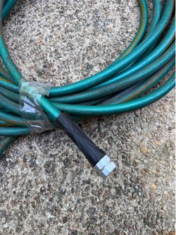 Hose