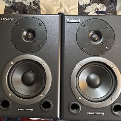Roland DS-50A Studio Monitors