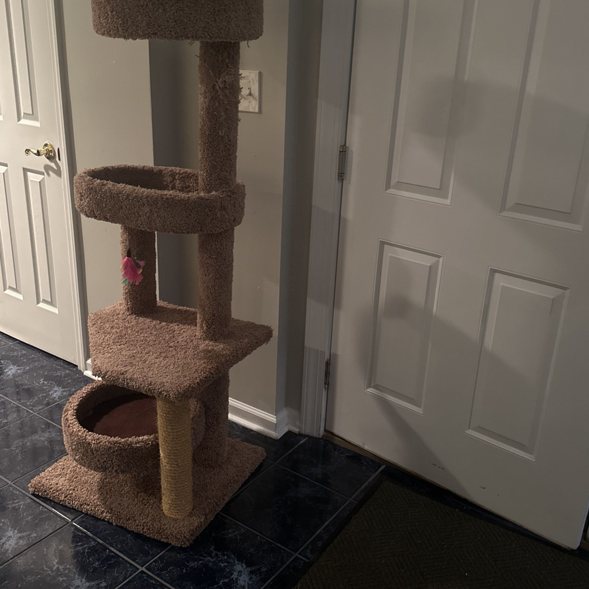 Cat Bed 