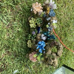 Fish Decor & Bubbler