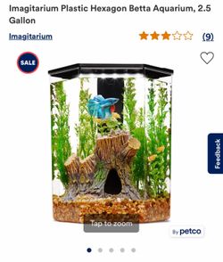 Betta Fish Aquarium