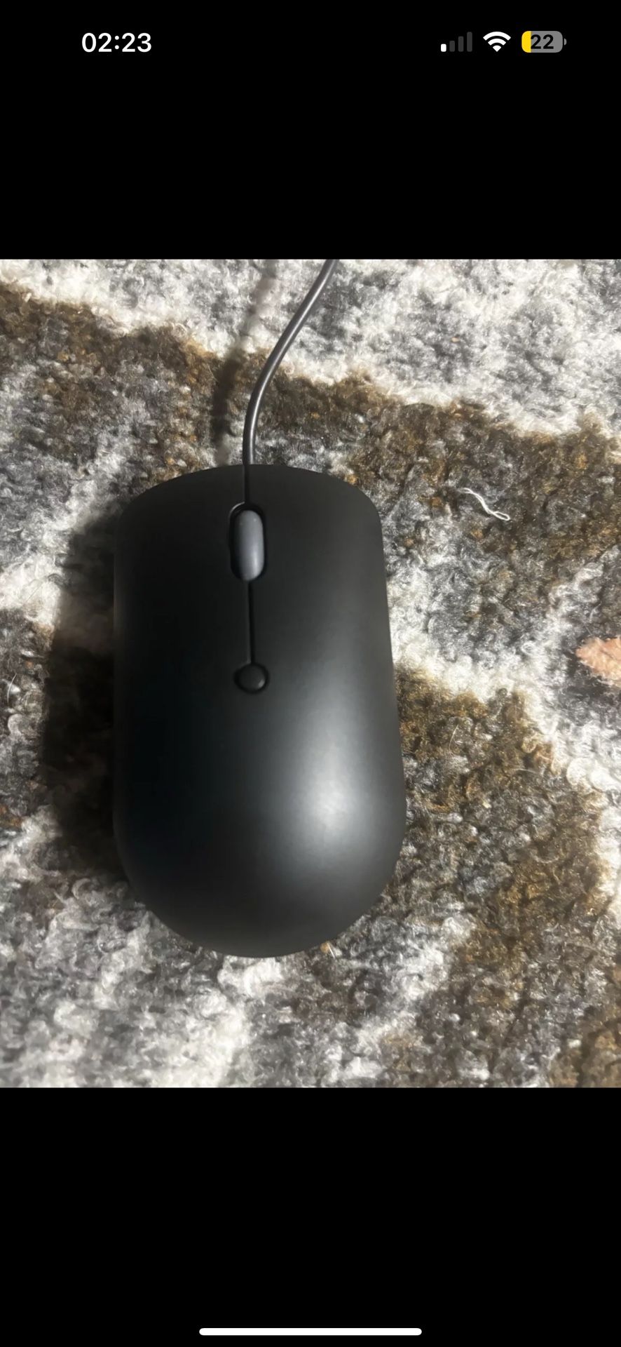Mouse