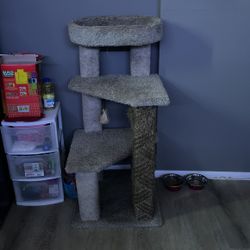 Cat Tree