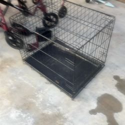 Dog Cage