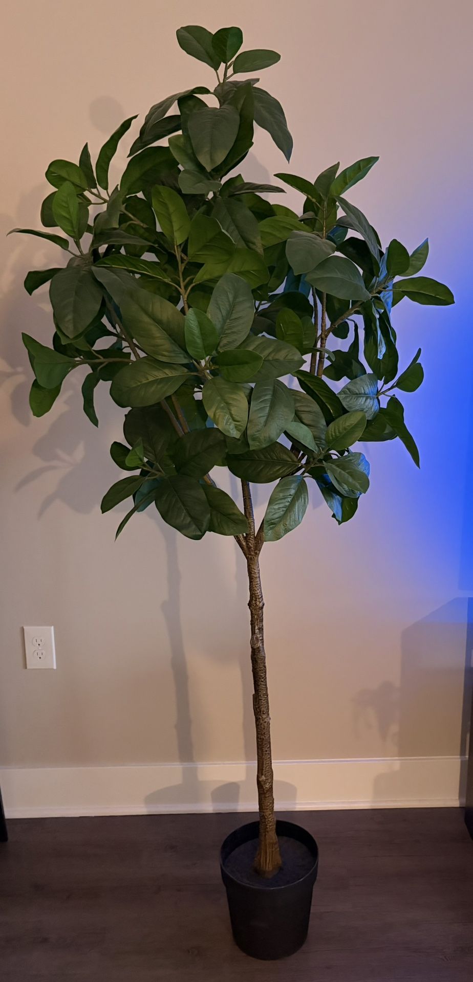 Artificial 6 foot Ficus Tree