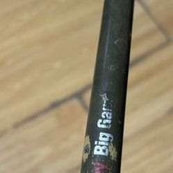 Berkley Big Game Fishing Rod 