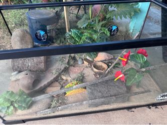 Reptile glass tank