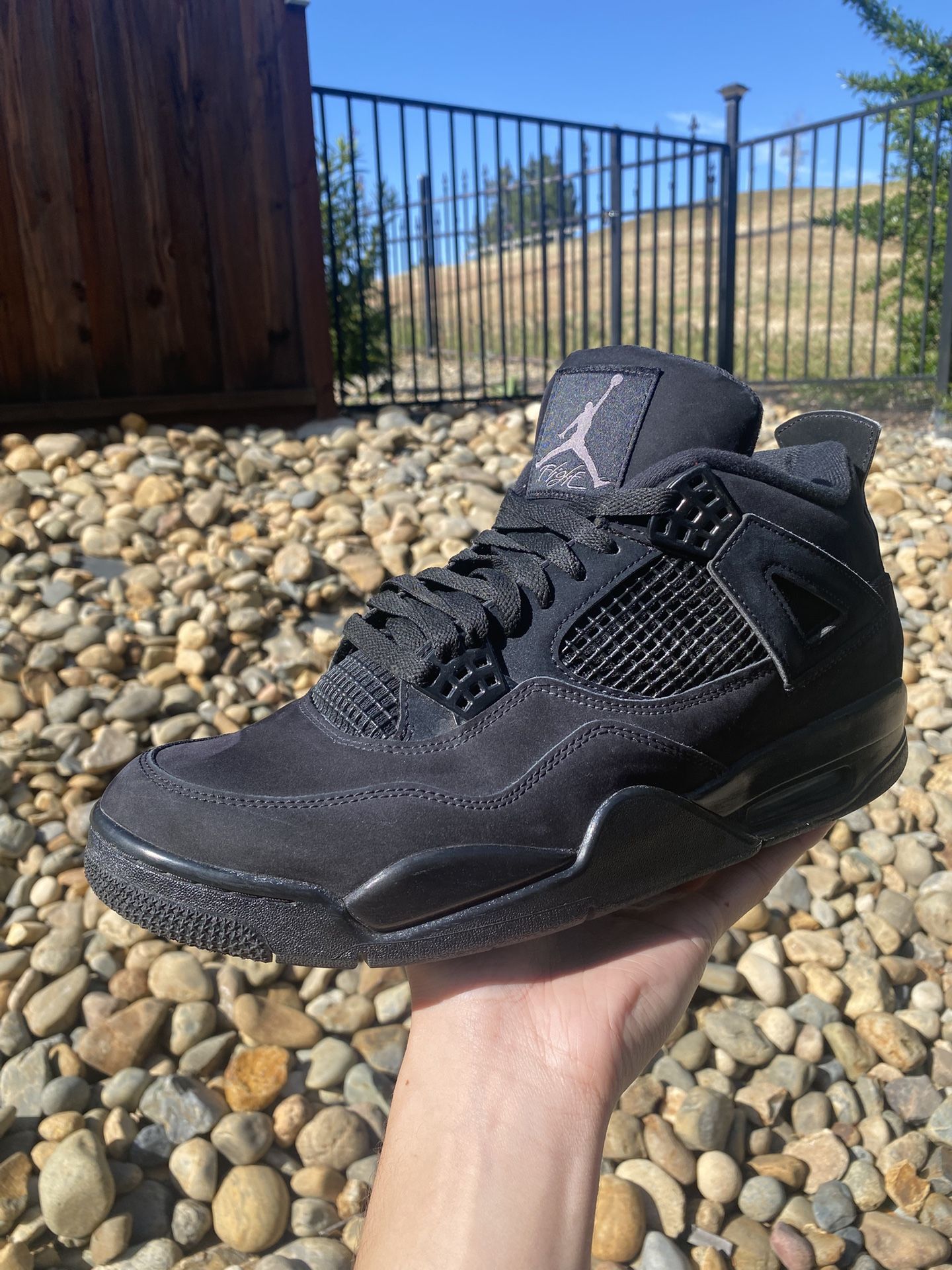 Jordan 4 Black Cat