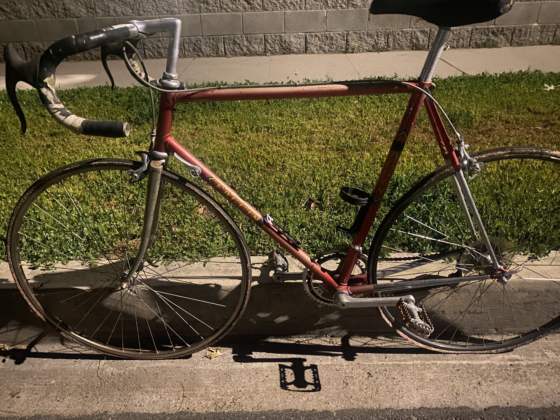 Speed Bike Fagging