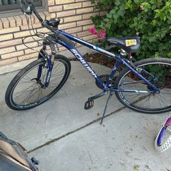 Schwinn Trailway