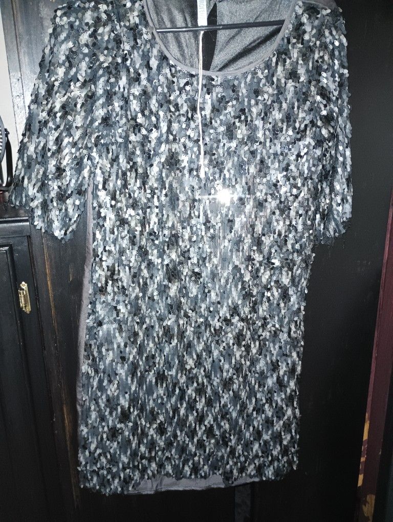 Sequin Dress New