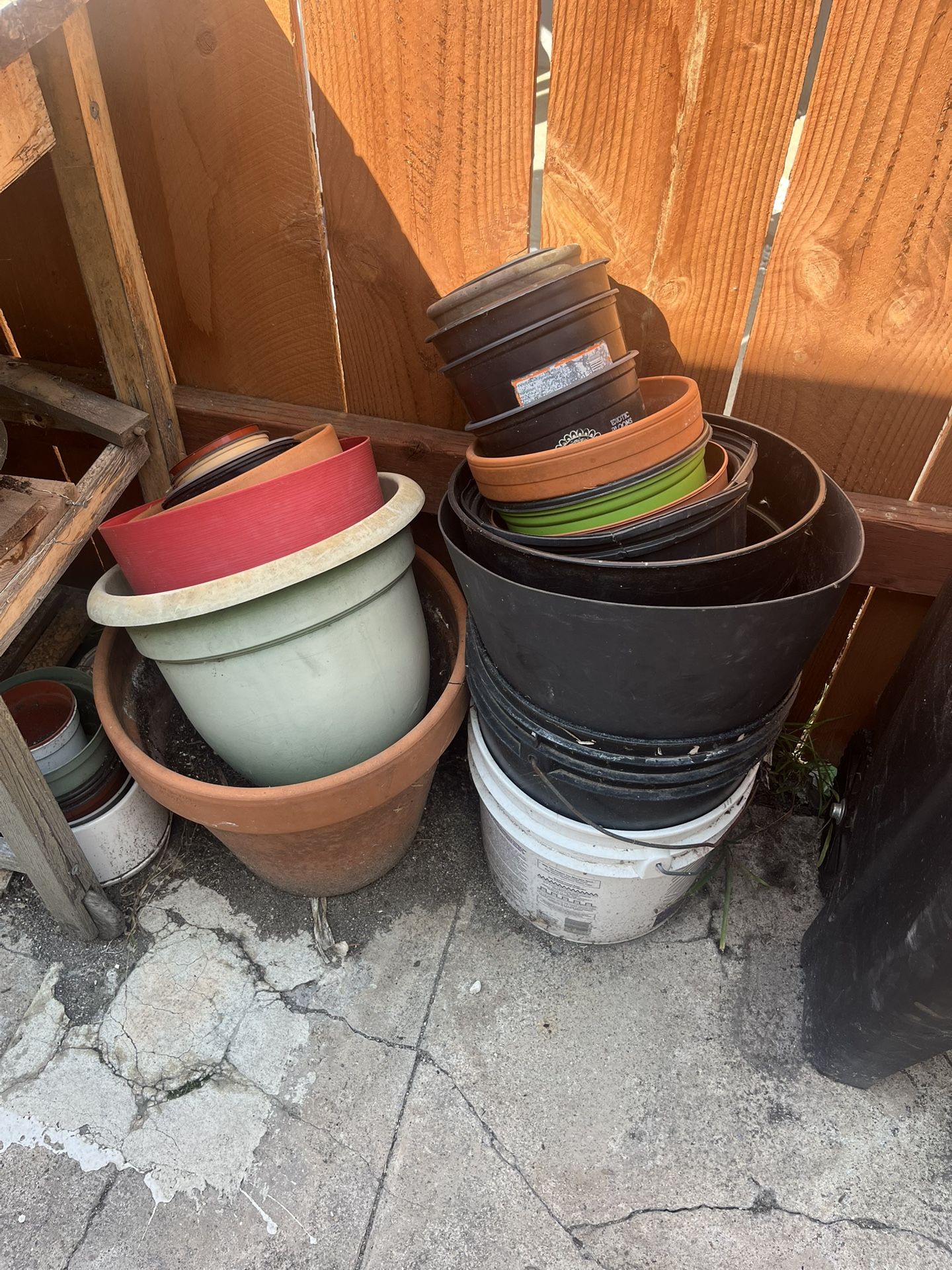 Plant Pots