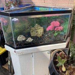 45 Gallon Fish Tank Aquarium Corner Tank