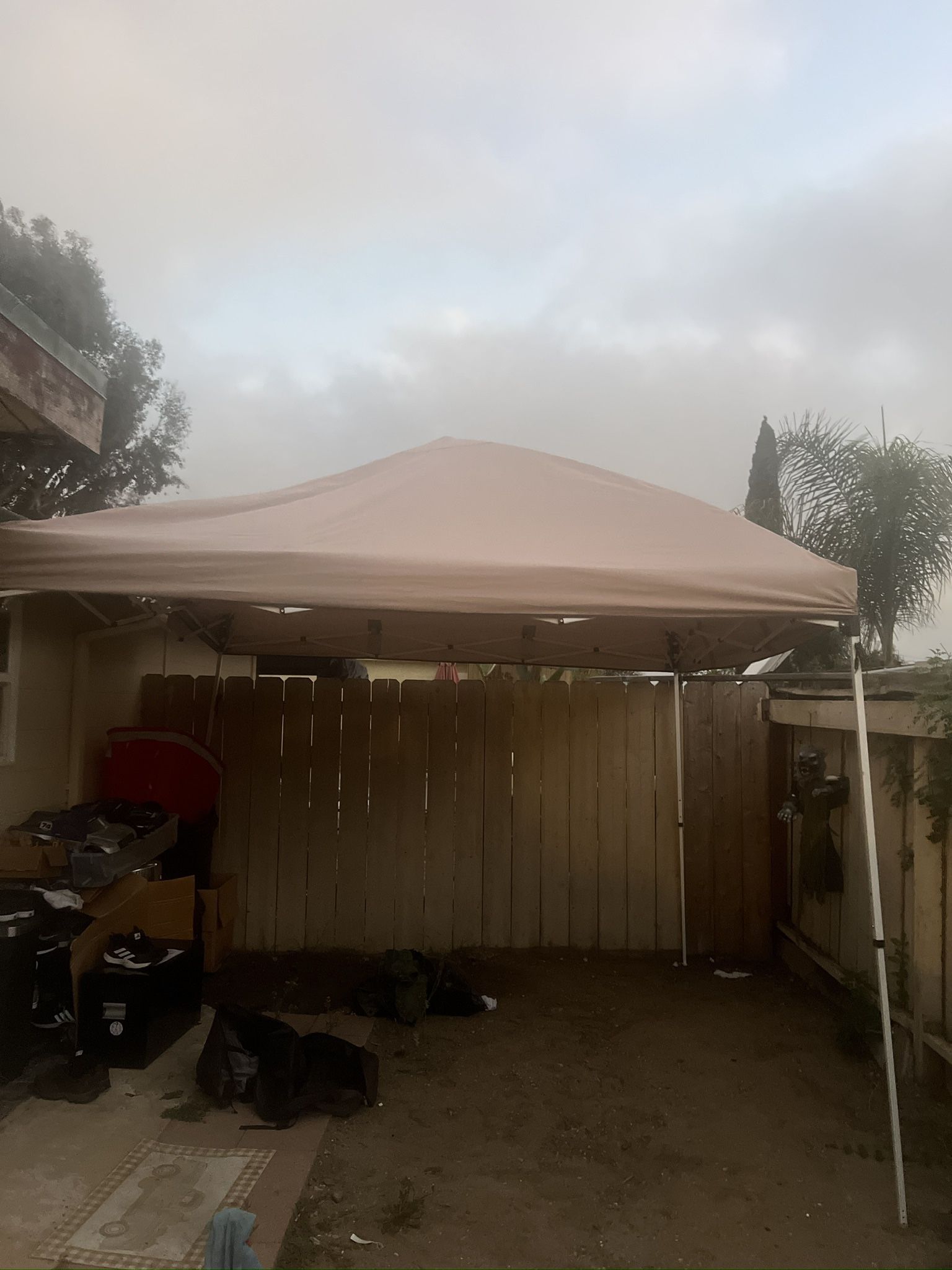 Canopy 10x10
