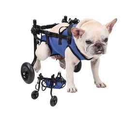 Pet Cat / Dog Leg Brace And Hip Support Adjustable Back ( Small )