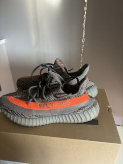 Beluga Test