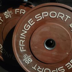 55lbs bumper Weights