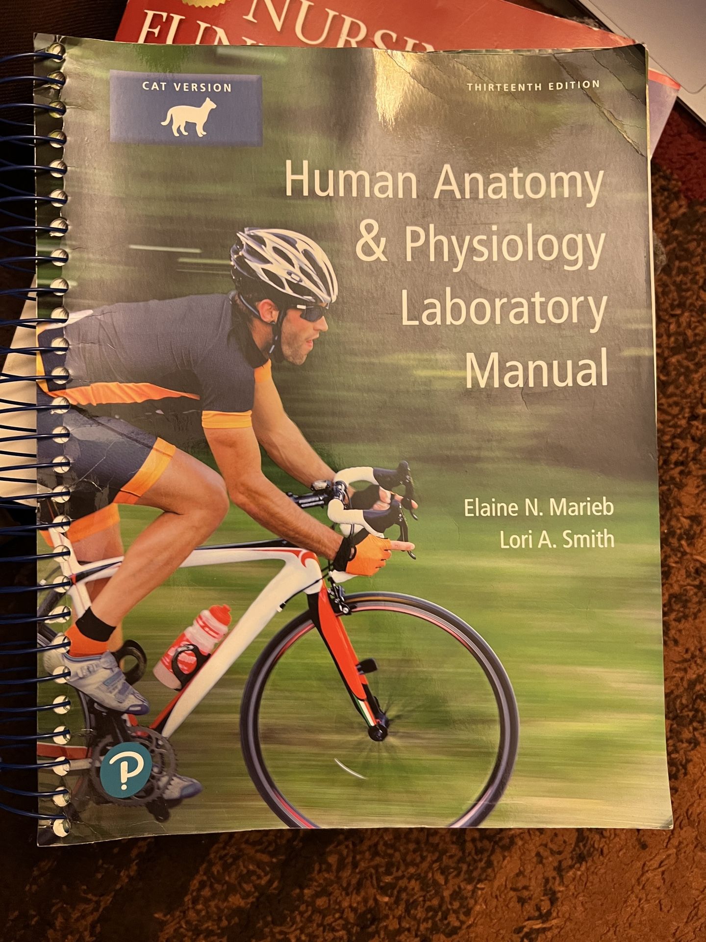 Human Anatomy And Physiology Lab Manual
