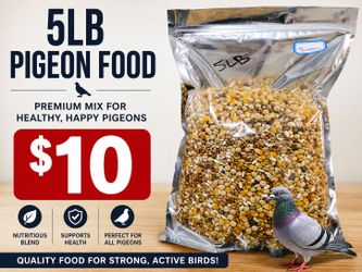 Pigeon food