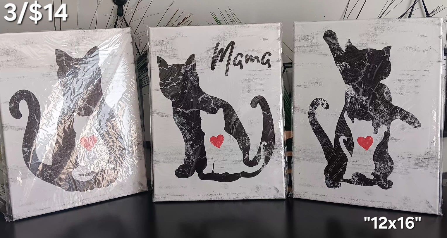🔥NEW CAT CANVAS 3/$14