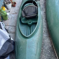 Wilderness Systems Big Critter Kayak