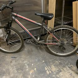 Bike 24”